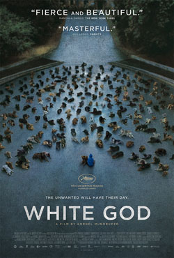 White God Poster_250